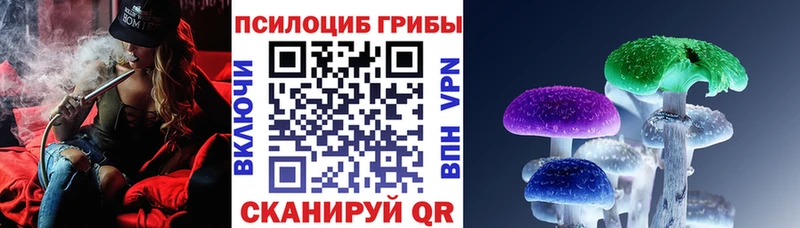 kraken tor  Никольское  Галлюциногенные грибы Psilocybe 